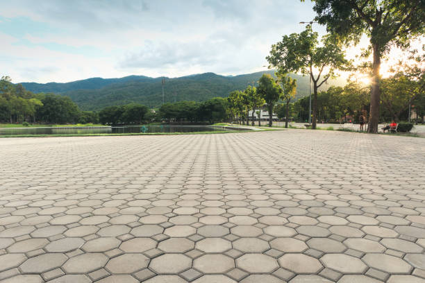 Best Local Driveway Pavers  in Exeter, CA